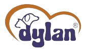 dylan logo