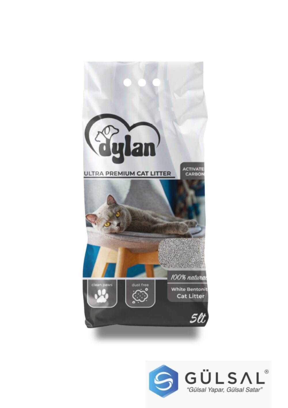 DYLAN ACTIVE CARBON 5L
