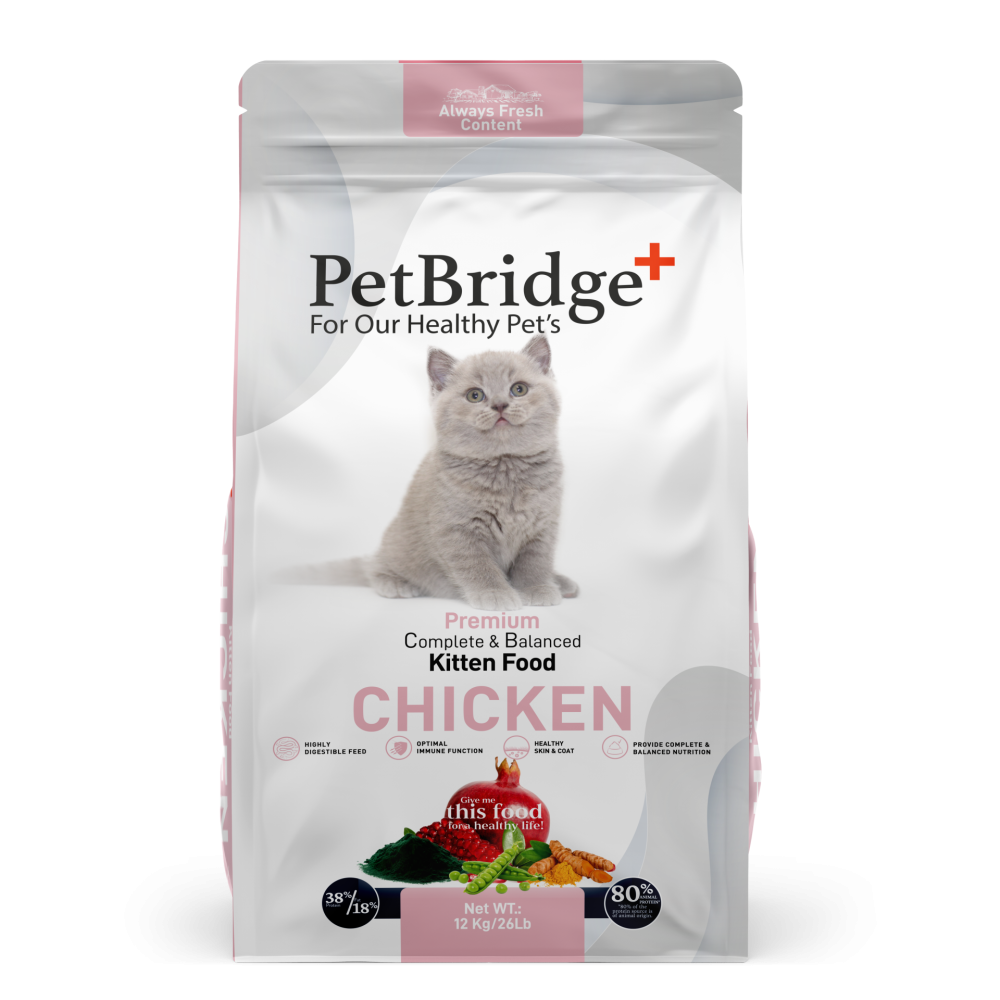petbridge kitten